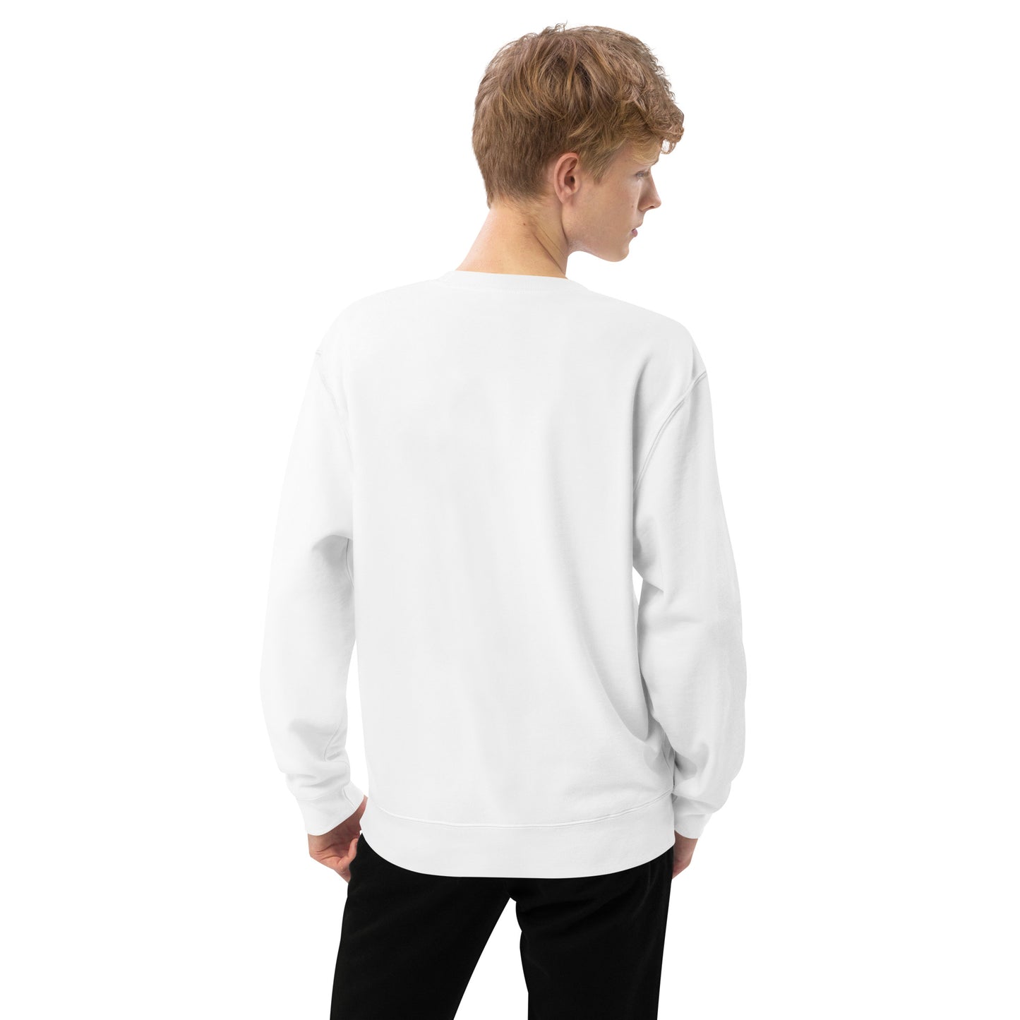 Unisex french Terry sweatshirt